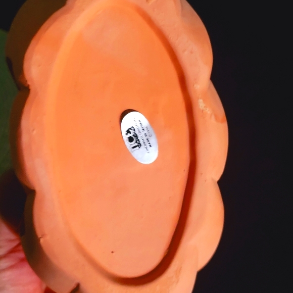 Magic Pumpkin - Picture 5 of 6